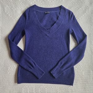 Express Deep Blue V-Neck Sweater